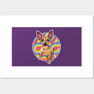 Retro Rainbow CHIHUAHUA by Robert Phelps Posters and Art